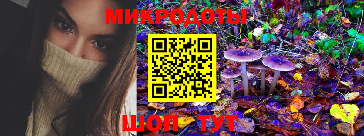 Саратов  Псилоцибиновые грибы прущие грибы  даркнет сайт  Вход с VPN 